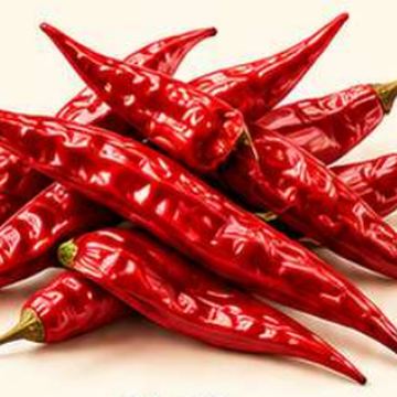 Chillies – whole spice for masala, SSV Agro Products
