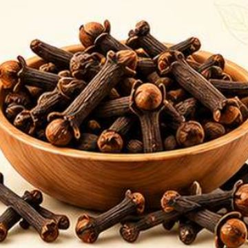 Cloves – whole spice for masala, SSV Agro Products