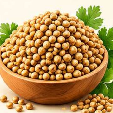 Coriander – whole spice for masala, SSV Agro Products