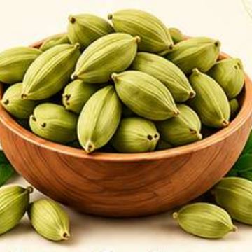 Cardamom – whole spice for masala, SSV Agro Products