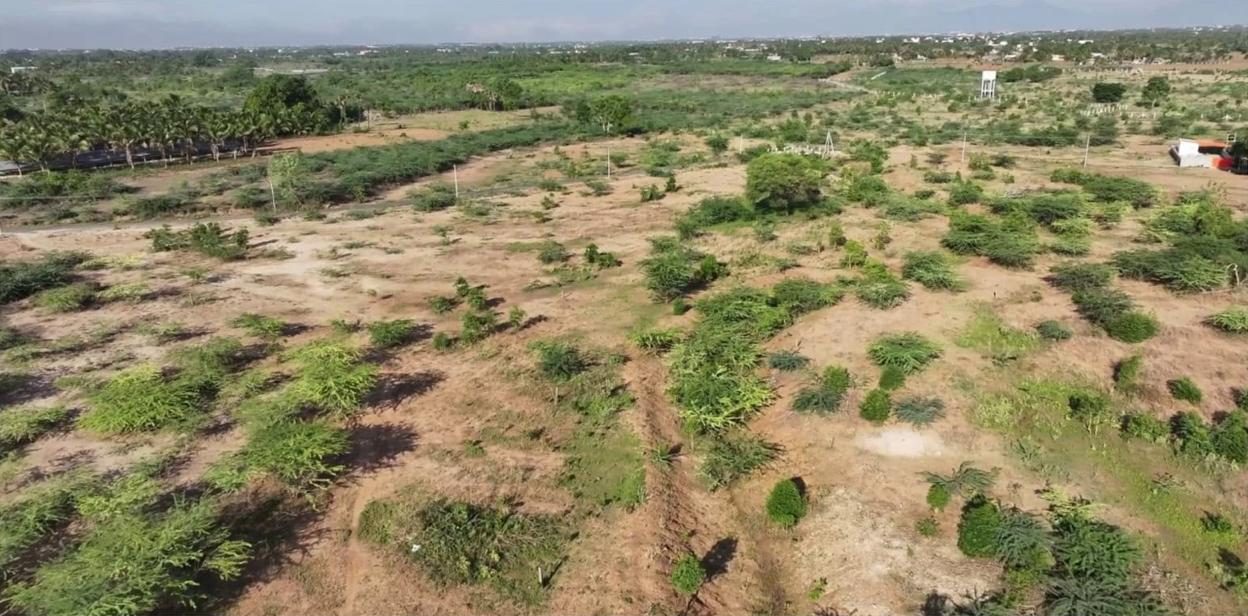 Aerial view of the River Kousika course before restoration, silted and overgrown with scrub, Coimbatore