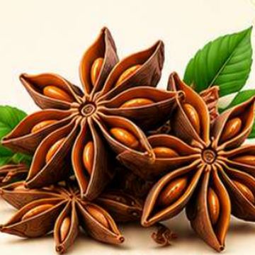 Star anise – whole spice for masala, SSV Agro Products