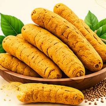 Turmeric – whole spice for masala, SSV Agro Products